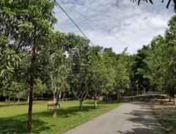 Pemprov Gorontalo Dikritik Soal Peran SAKA, Pemerhati Nilai Kritik Hanya karena ‘Sakit Hati’