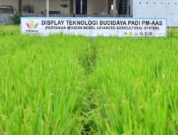 Gusnar Ajak Petani Pelajari Teknologi Padi Unggulan di PENAS XVII
