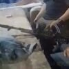 Diduga Mabuk, Dua Pria Diduga Oknum Polisi Terekam Bawa Senjata Laras Panjang Di PETI Pohuwato